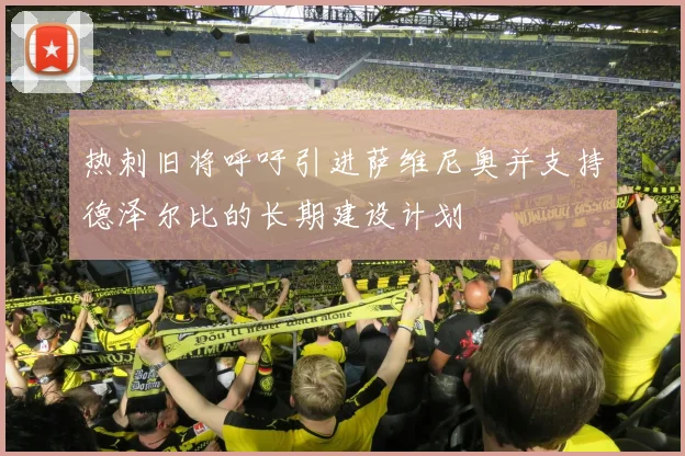 热刺旧将呼吁引进萨维尼奥并支持德泽尔比的长期建设计划